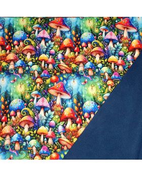 Softshell audums BRĪNUMU MEŽS - SĒNES