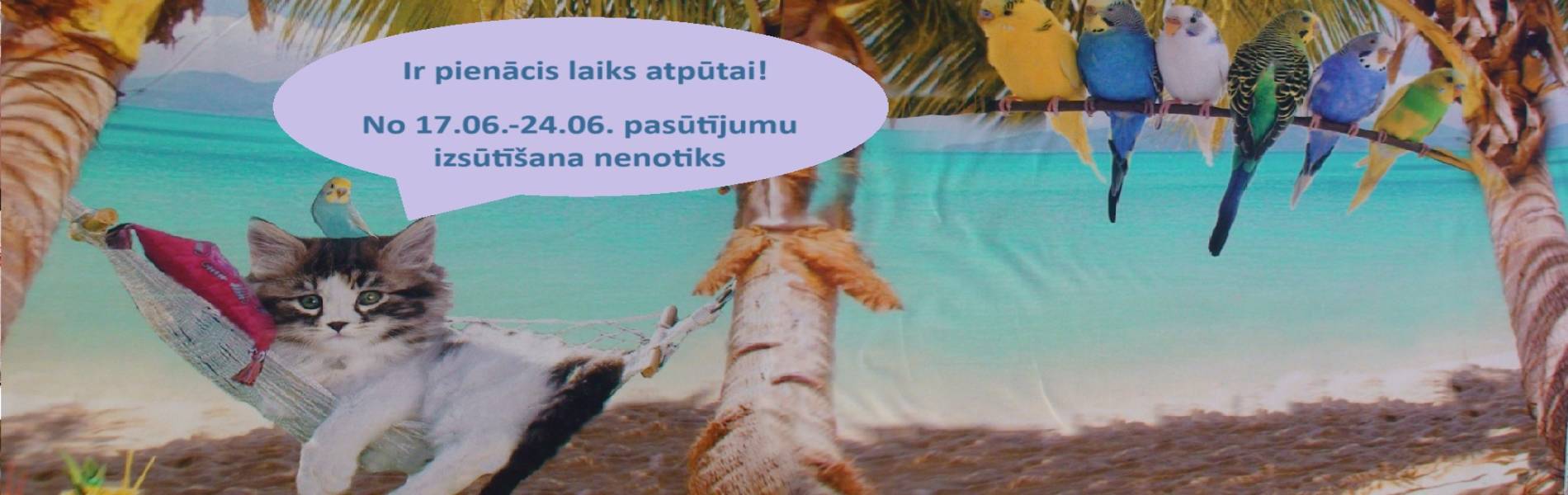 https://www.maniaudumi.lv/index.php/lv/produkti/lina-audumi/lins-ar-tencel.html